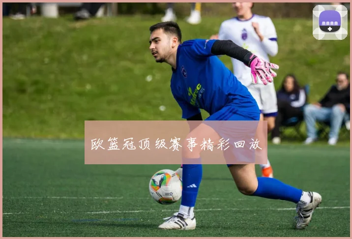 欧篮冠顶级赛事精彩回放