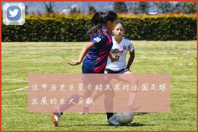 法甲历史巨星介绍及其对法国足球发展的巨大贡献