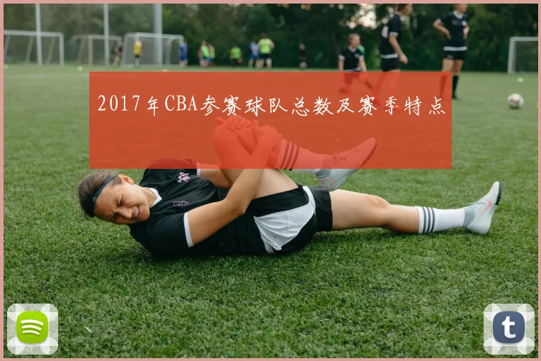 2017年CBA参赛球队总数及赛季特点