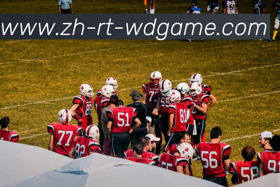 问鼎娱乐平台生态图